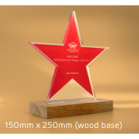Bespoke Freestanding Acrylic Awards 150mm x 250mm With Wood Base