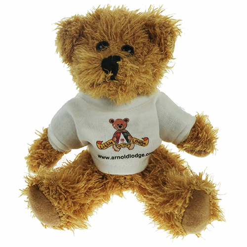 15cm Sparkie Bear With T-Shirt