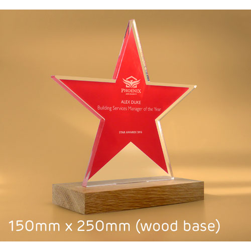 Bespoke Freestanding Acrylic Awards 150mm x 250mm With Wood Base