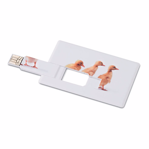 Creditcard USB flash 4GB